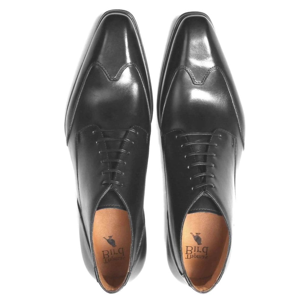 Newton Wingcap Chukka Boot Black